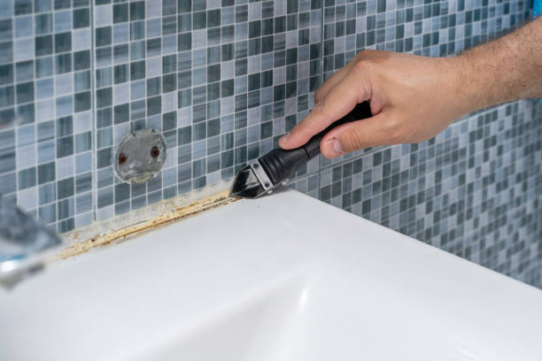 Best Health and Safety Mold Remediation in West Deland, FL